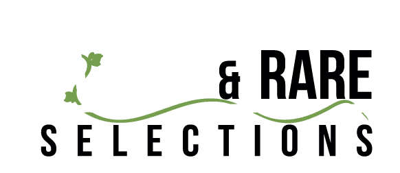 Vine & Rare Logo